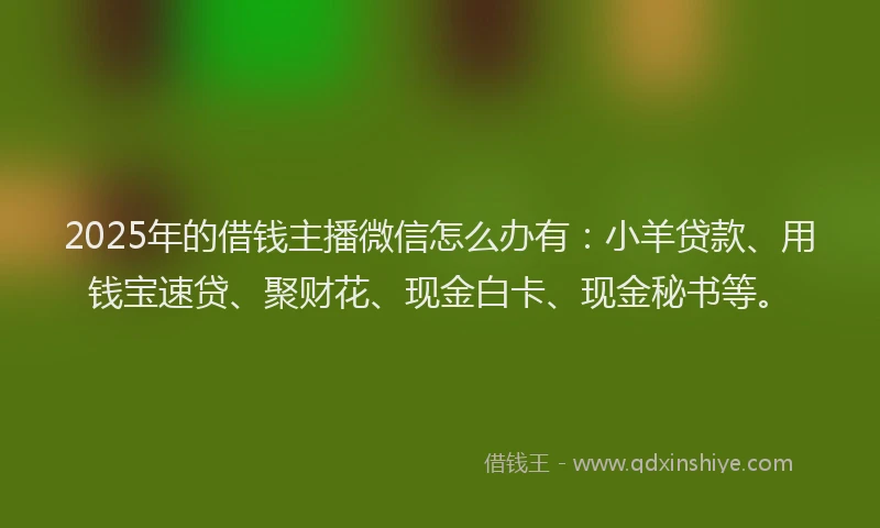 2025年的借钱主播微信怎么办有：小羊贷款、用钱宝速贷、聚财花、现金白卡、现金秘书等。