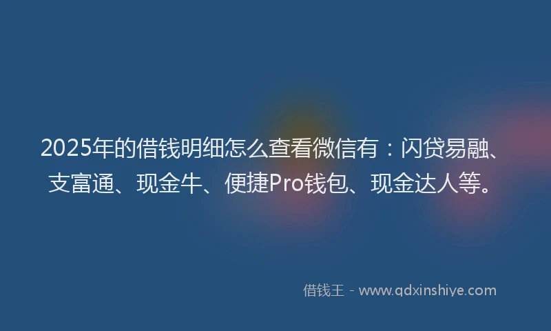 2025年的借钱明细怎么查看微信有：闪贷易融、支富通、现金牛、便捷Pro钱包、现金达人等。