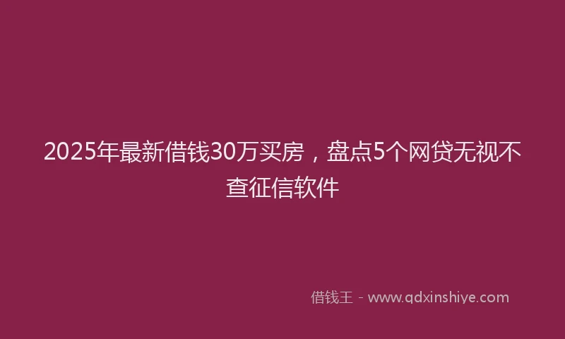 2025年最新借钱30万买房，盘点5个网贷无视不查征信软件