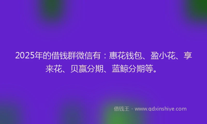 2025年的借钱群微信有：惠花钱包、盈小花、享来花、贝赢分期、蓝鲸分期等。