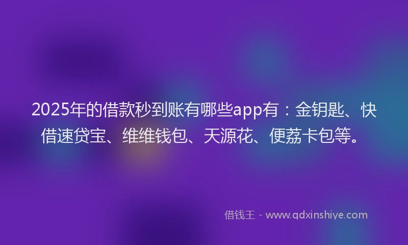 2025年的借款秒到账有哪些app有：金钥匙、快借速贷宝、维维钱包、天源花、便荔卡包等。
