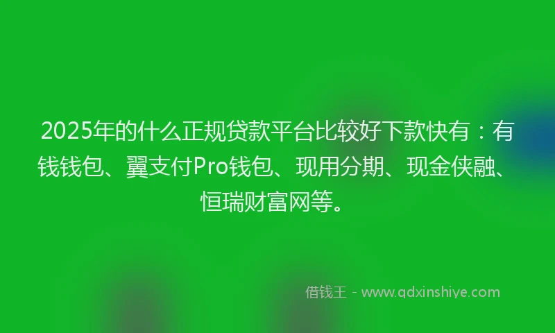 2025年的什么正规贷款平台比较好下款快有：有钱钱包、翼支付Pro钱包、现用分期、现金侠融、恒瑞财富网等。
