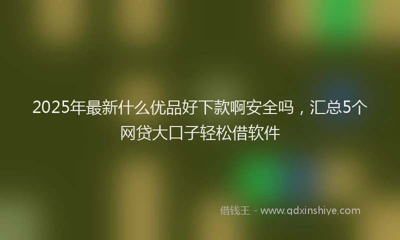 2025年最新什么优品好下款啊安全吗，汇总5个网贷大口子轻松借软件