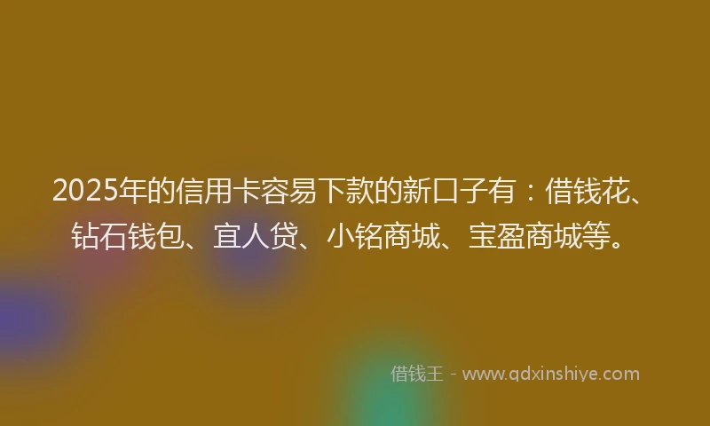 2025年的信用卡容易下款的新口子有：借钱花、钻石钱包、宜人贷、小铭商城、宝盈商城等。