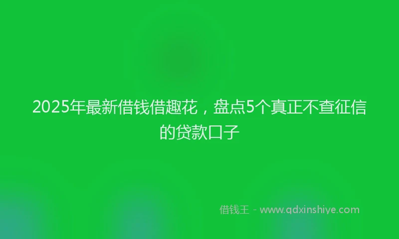 2025年最新借钱借趣花，盘点5个真正不查征信的贷款口子