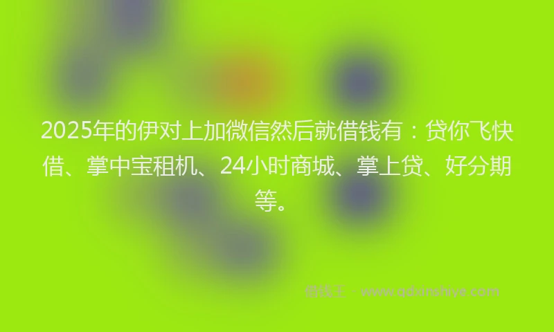 2025年的伊对上加微信然后就借钱有：贷你飞快借、掌中宝租机、24小时商城、掌上贷、好分期等。