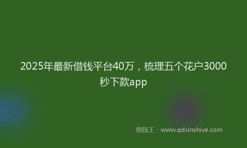 2025年最新借钱平台40万，梳理五个花户3000秒下款app