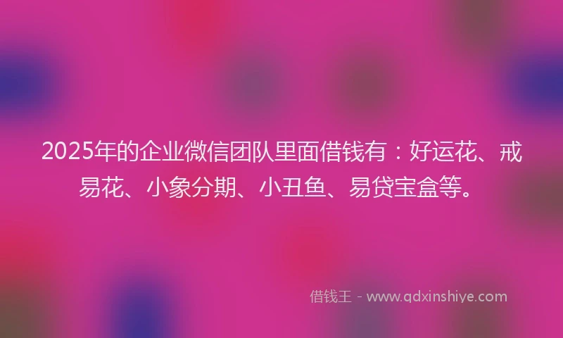 2025年的企业微信团队里面借钱有：好运花、戒易花、小象分期、小丑鱼、易贷宝盒等。