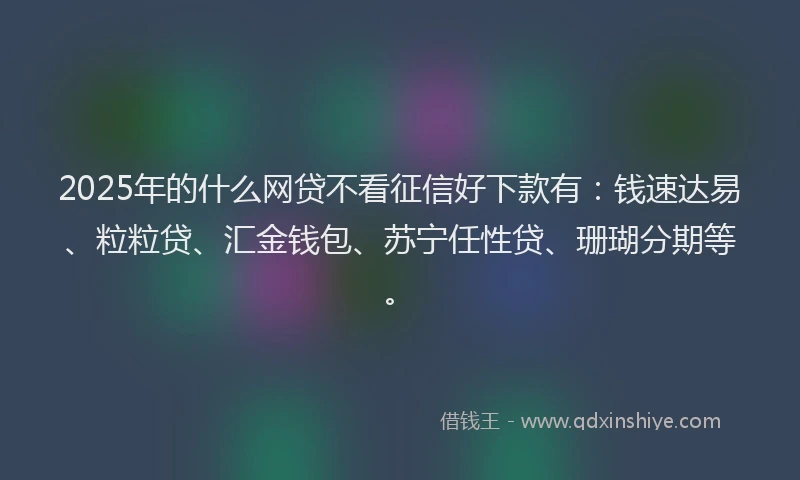2025年的什么网贷不看征信好下款有：钱速达易、粒粒贷、汇金钱包、苏宁任性贷、珊瑚分期等。