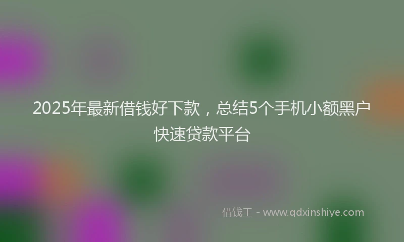2025年最新借钱好下款，总结5个手机小额黑户快速贷款平台