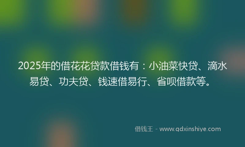 2025年的借花花贷款借钱有：小油菜快贷、滴水易贷、功夫贷、钱速借易行、省呗借款等。