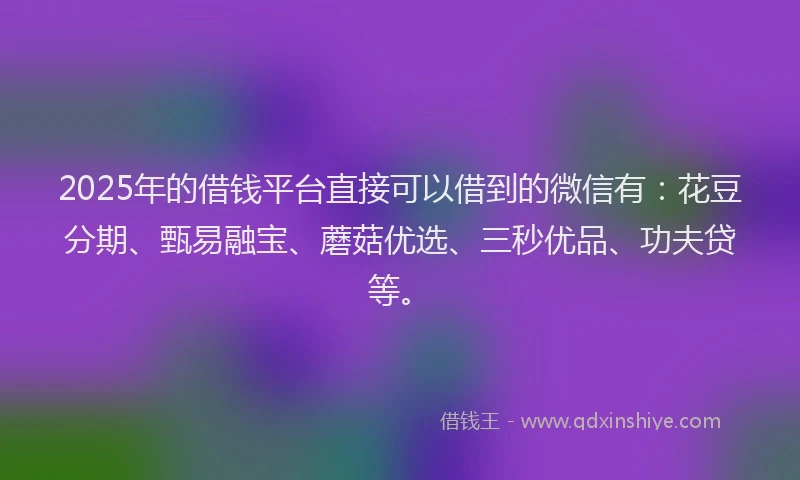 2025年的借钱平台直接可以借到的微信有：花豆分期、甄易融宝、蘑菇优选、三秒优品、功夫贷等。