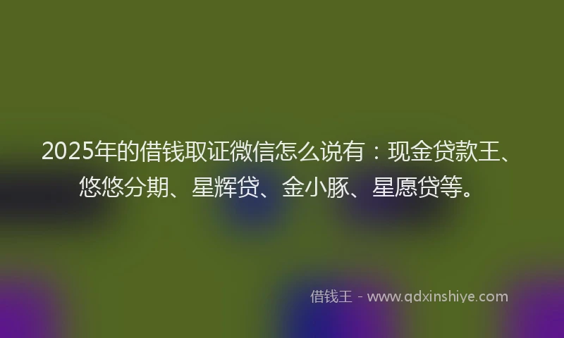 2025年的借钱取证微信怎么说有：现金贷款王、悠悠分期、星辉贷、金小豚、星愿贷等。