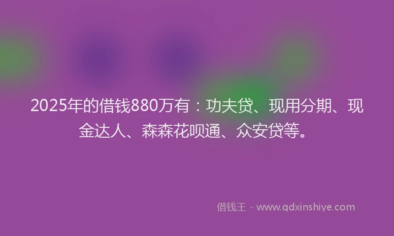 2025年的借钱880万有：功夫贷、现用分期、现金达人、森森花呗通、众安贷等。