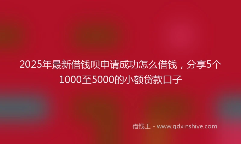 2025年最新借钱呗申请成功怎么借钱，分享5个1000至5000的小额贷款口子