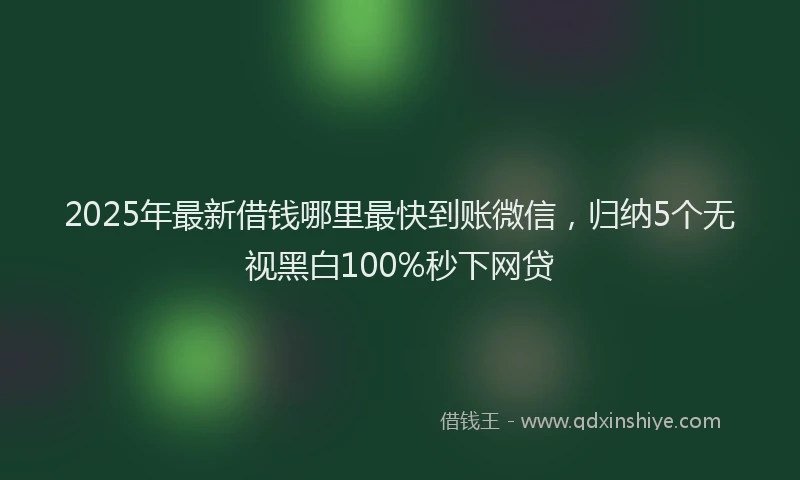 2025年最新借钱哪里最快到账微信，归纳5个无视黑白100%秒下网贷