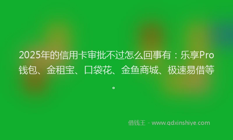 2025年的信用卡审批不过怎么回事有：乐享Pro钱包、金租宝、口袋花、金鱼商城、极速易借等。