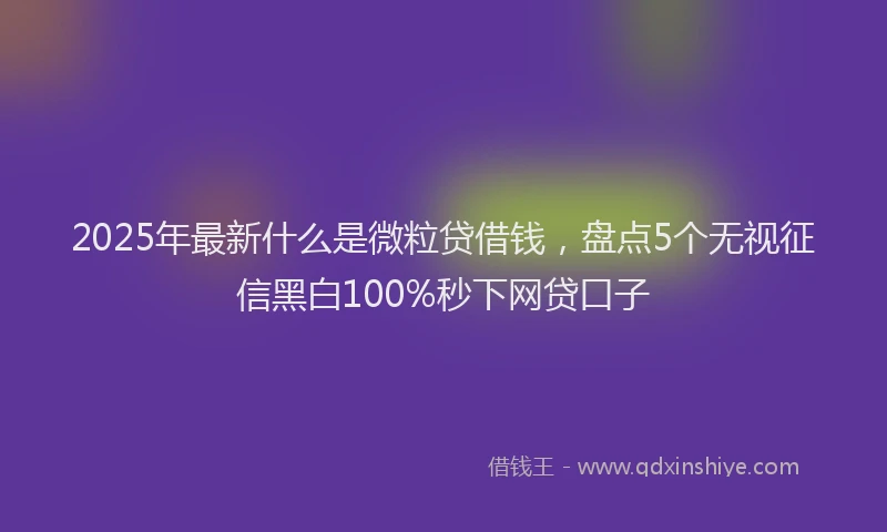 2025年最新什么是微粒贷借钱，盘点5个无视征信黑白100%秒下网贷口子