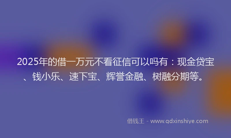 2025年的借一万元不看征信可以吗有：现金贷宝、钱小乐、速下宝、辉誉金融、树融分期等。