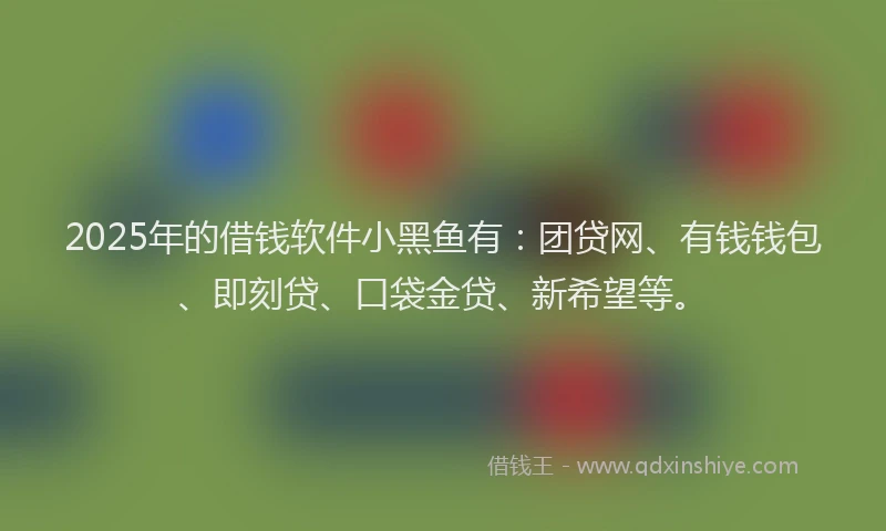 2025年的借钱软件小黑鱼有：团贷网、有钱钱包、即刻贷、口袋金贷、新希望等。