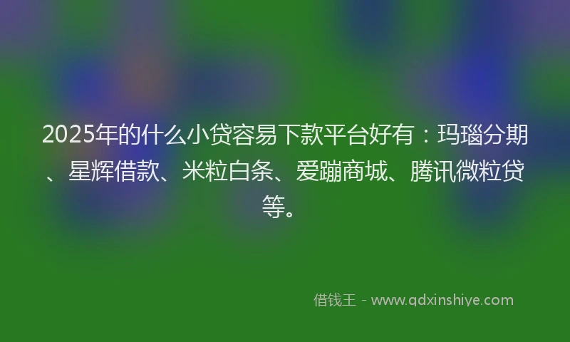 2025年的什么小贷容易下款平台好有：玛瑙分期、星辉借款、米粒白条、爱蹦商城、腾讯微粒贷等。