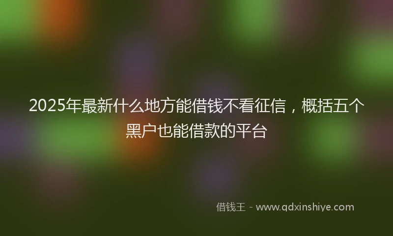 2025年最新什么地方能借钱不看征信，概括五个黑户也能借款的平台