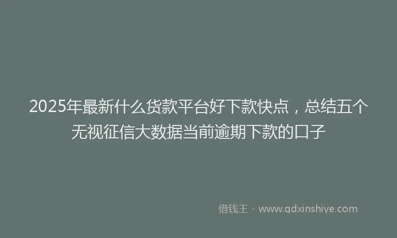 2025年最新什么货款平台好下款快点，总结五个无视征信大数据当前逾期下款的口子