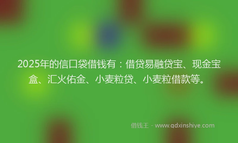 2025年的信口袋借钱有：借贷易融贷宝、现金宝盒、汇火佑金、小麦粒贷、小麦粒借款等。