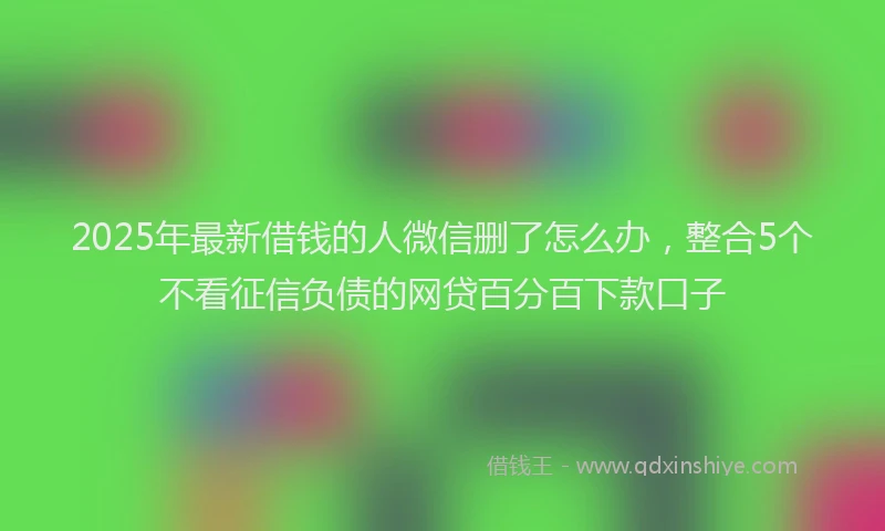 2025年最新借钱的人微信删了怎么办，整合5个不看征信负债的网贷百分百下款口子