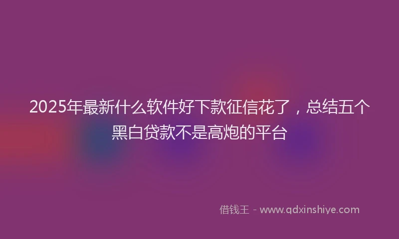 2025年最新什么软件好下款征信花了，总结五个黑白贷款不是高炮的平台