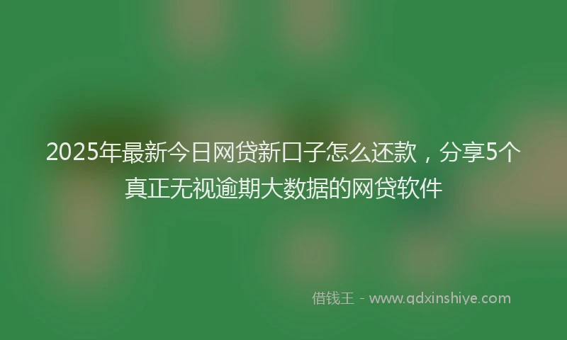 2025年最新今日网贷新口子怎么还款，分享5个真正无视逾期大数据的网贷软件