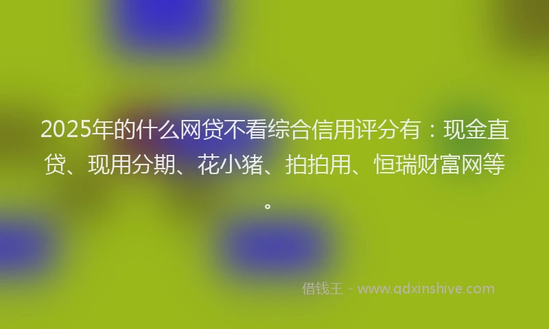 2025年的什么网贷不看综合信用评分有：现金直贷、现用分期、花小猪、拍拍用、恒瑞财富网等。