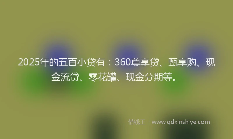 2025年的五百小贷有：360尊享贷、甄享购、现金流贷、零花罐、现金分期等。