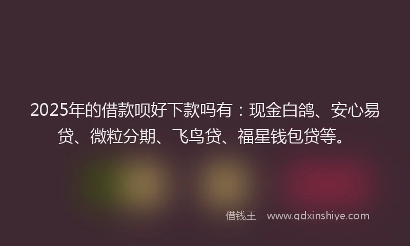 2025年的借款呗好下款吗有：现金白鸽、安心易贷、微粒分期、飞鸟贷、福星钱包贷等。