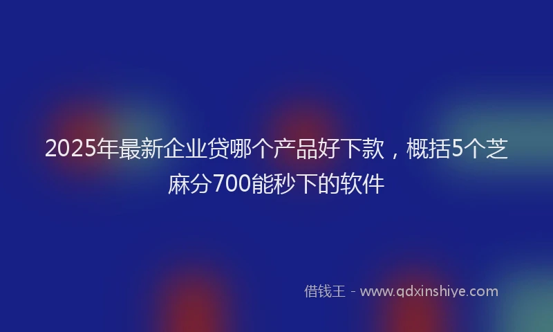 2025年最新企业贷哪个产品好下款，概括5个芝麻分700能秒下的软件
