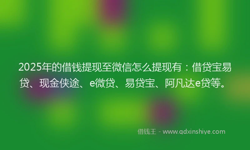2025年的借钱提现至微信怎么提现有：借贷宝易贷、现金侠途、e微贷、易贷宝、阿凡达e贷等。