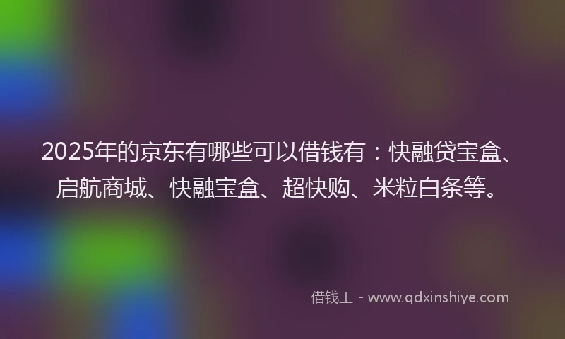 2025年的京东有哪些可以借钱有：快融贷宝盒、启航商城、快融宝盒、超快购、米粒白条等。