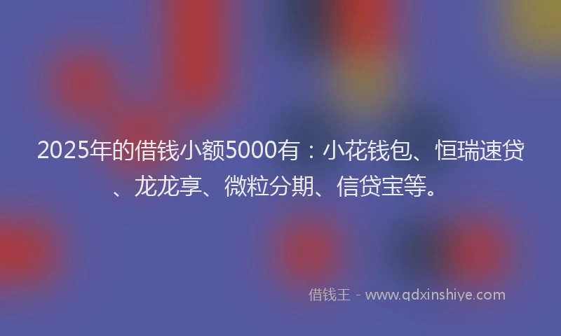 2025年的借钱小额5000有：小花钱包、恒瑞速贷、龙龙享、微粒分期、信贷宝等。
