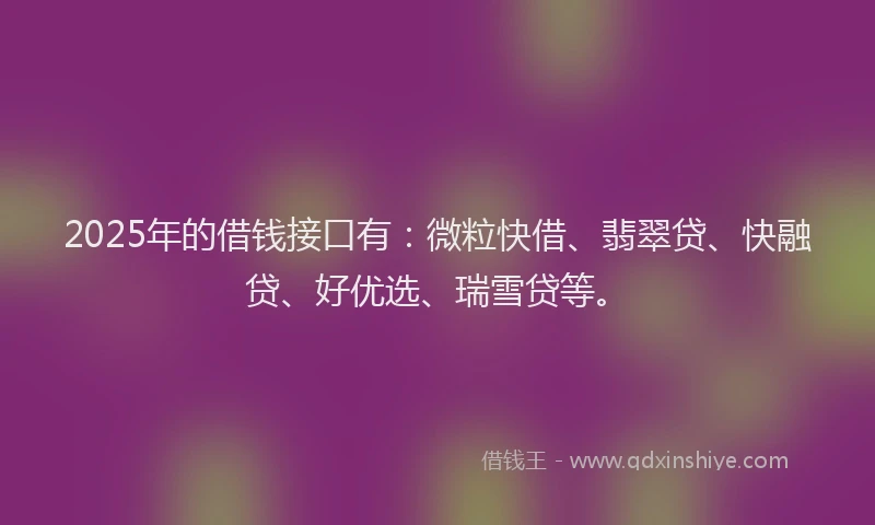 2025年的借钱接口有：微粒快借、翡翠贷、快融贷、好优选、瑞雪贷等。