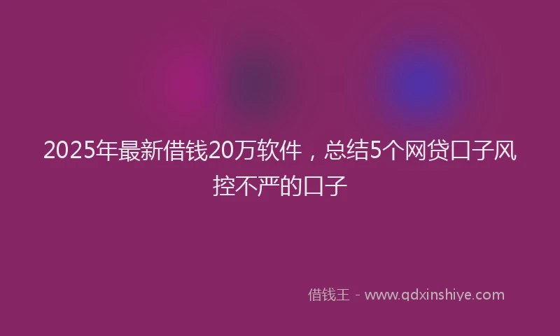 2025年最新借钱20万软件，总结5个网贷口子风控不严的口子