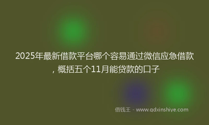 2025年最新借款平台哪个容易通过微信应急借款，概括五个11月能贷款的口子