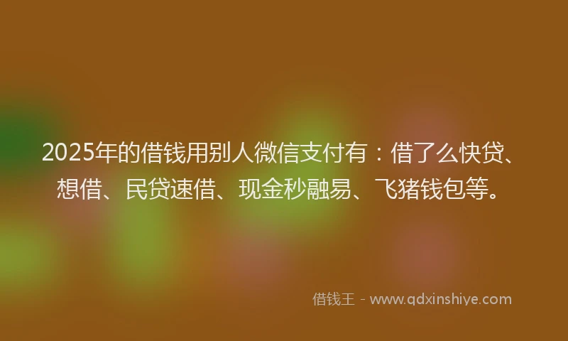 2025年的借钱用别人微信支付有：借了么快贷、想借、民贷速借、现金秒融易、飞猪钱包等。