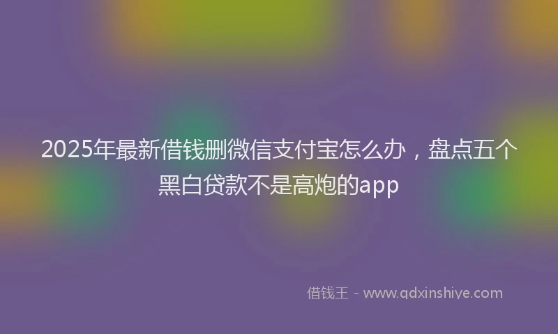 2025年最新借钱删微信支付宝怎么办，盘点五个黑白贷款不是高炮的app