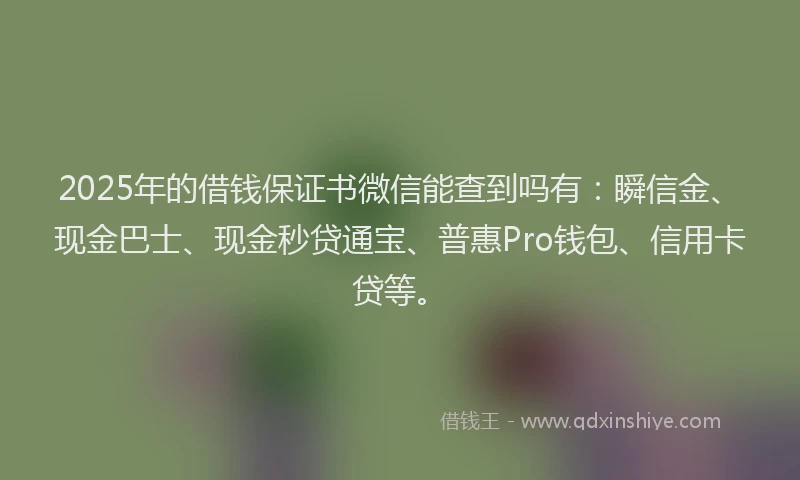 2025年的借钱保证书微信能查到吗有：瞬信金、现金巴士、现金秒贷通宝、普惠Pro钱包、信用卡贷等。