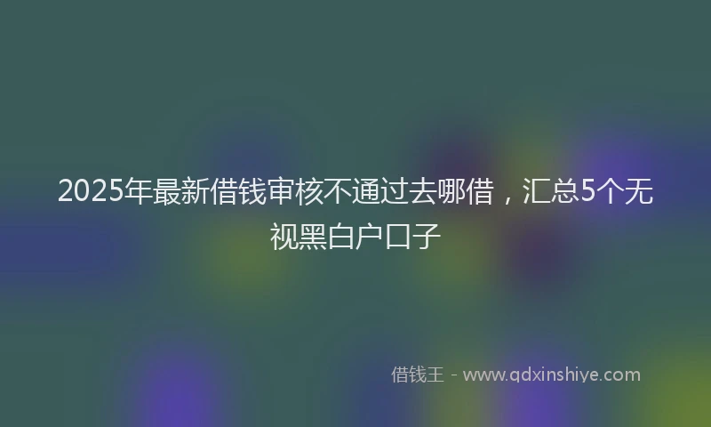 2025年最新借钱审核不通过去哪借，汇总5个无视黑白户口子