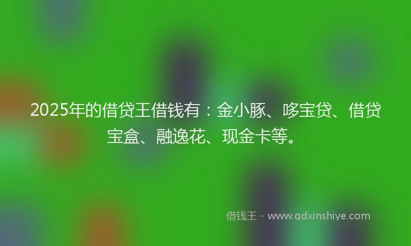 2025年的借贷王借钱有：金小豚、哆宝贷、借贷宝盒、融逸花、现金卡等。