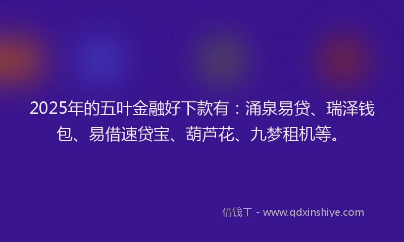 2025年的五叶金融好下款有：涌泉易贷、瑞泽钱包、易借速贷宝、葫芦花、九梦租机等。