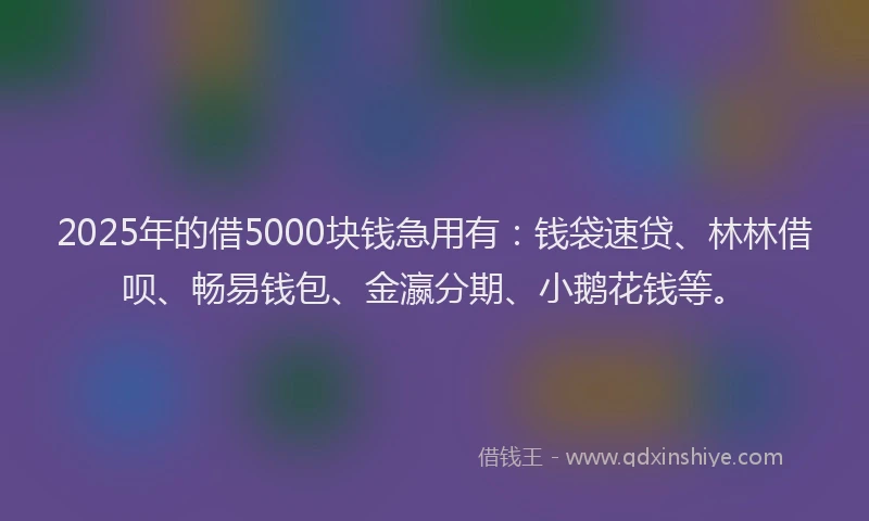 2025年的借5000块钱急用有：钱袋速贷、林林借呗、畅易钱包、金瀛分期、小鹅花钱等。