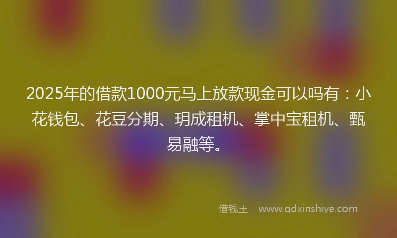 2025年的借款1000元马上放款现金可以吗有：小花钱包、花豆分期、玥成租机、掌中宝租机、甄易融等。