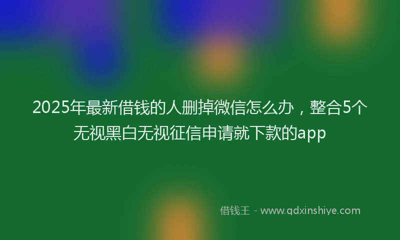 2025年最新借钱的人删掉微信怎么办，整合5个无视黑白无视征信申请就下款的app